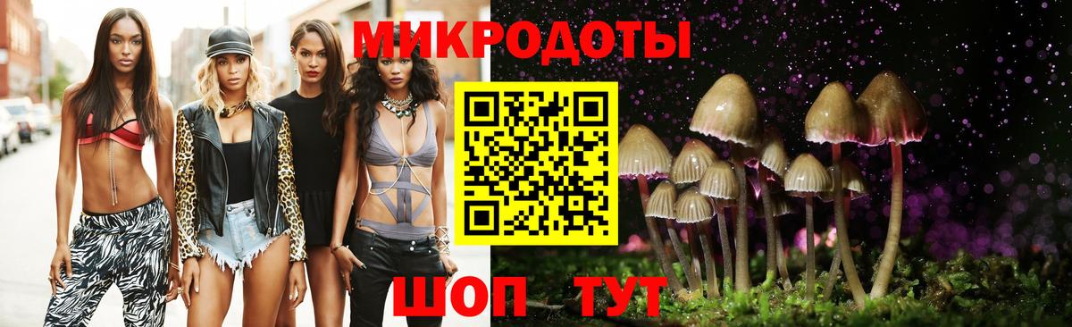 Губкин  Галлюциногенные грибы прущие грибы  Вход с VPN 